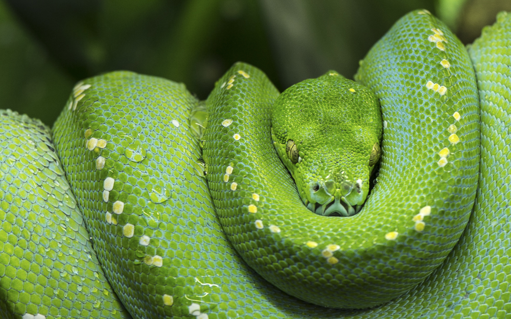 Platz 7 Willi Bitzer